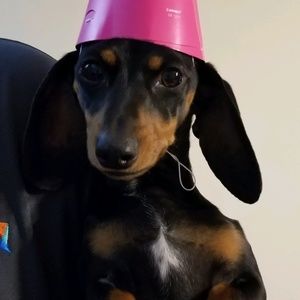 Meet your Posher, Raquel